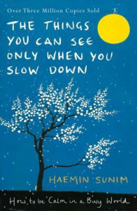 The Things You Can See Only When You Slow Down : how to be calm in a busy world