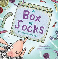 A Box of Socks