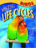 Amazing Life Cycles: Birds