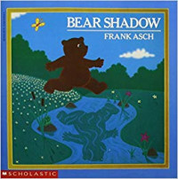 Bear shadow