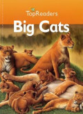 Big Cats