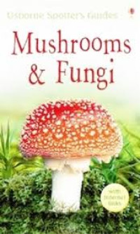 Mushrooms & Fungi