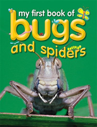 My First Book of Bugs and Spiders