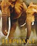 Spirit of the elephant: Majestic giant of the animal kingdom