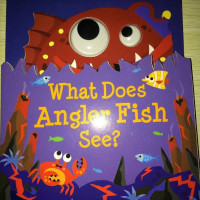 What Does Angler Fish See?