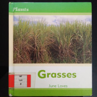 Plants: Grasses