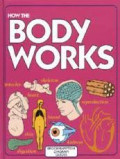 How the body works