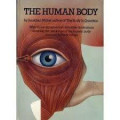 The human body: A three-dimensional study